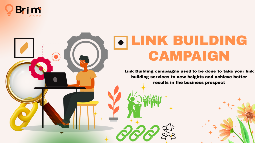 Link Building Campaign