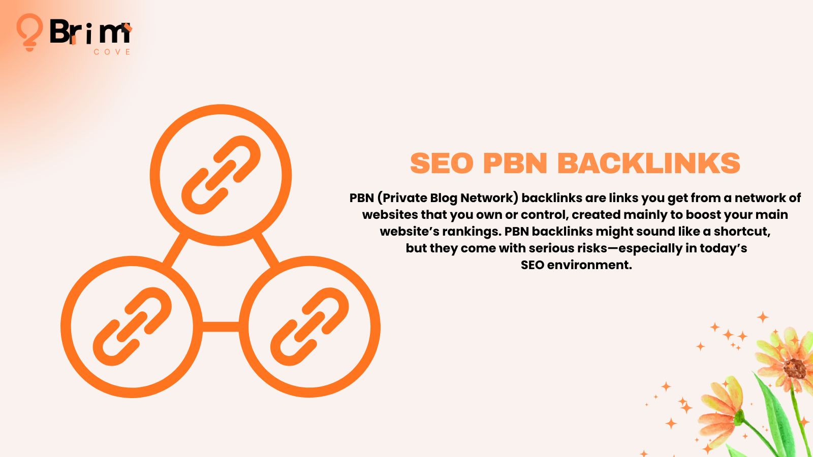 SEO PBN Backlinks – Risks, How They Work & Safer Alternatives in 2026