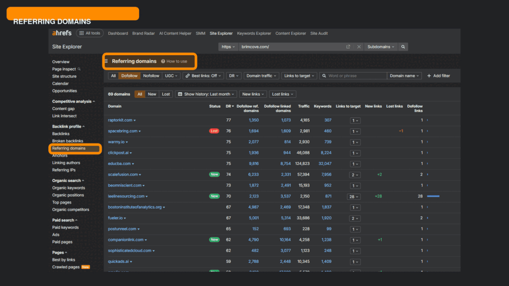 Ahrefs Site Explorer zooming into the Referring domains report and its domain-level backlink metrics