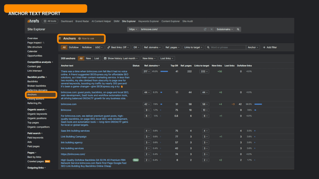 Ahrefs Site Explorer zooming into the Anchors report showing anchor text and referring domain data