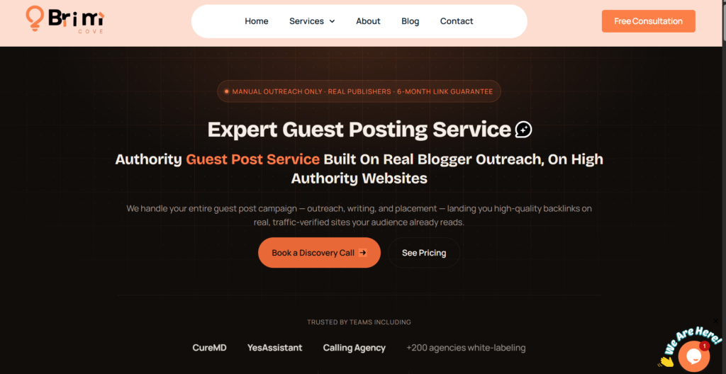 Guest posting services