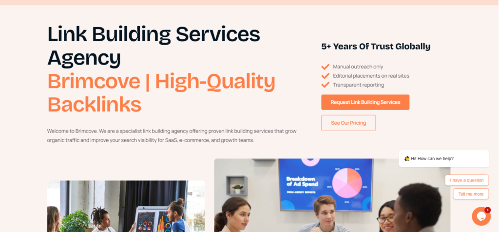 Brimcove link building and SEO agency homepage
